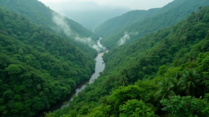 Obraz premium Lush Green Valley with River and Misty Mountains in the Background