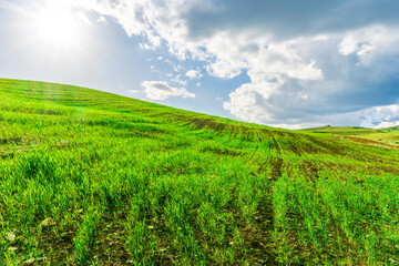 green spring hills with young grass and amazing growing fields and hills with beautiful bright...