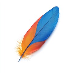 Feather