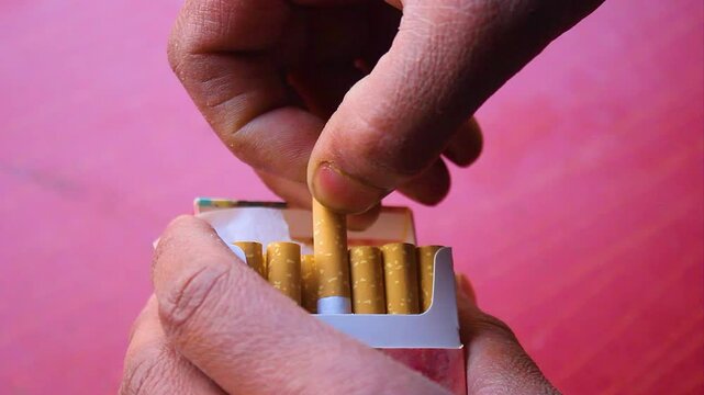 A man's hand opens a pack and pulls out a cigarette. bad habit, nicotine addiction. harm to health