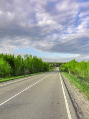 Road with a few trees on the side and a cloudy sky