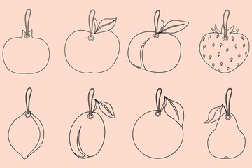 Set of fruit tags and loops for fastening. The design is clean and elegant, making it ideal for product labels, gift tags, packaging, organic food branding, eco-friendly themes and minimalist designs.