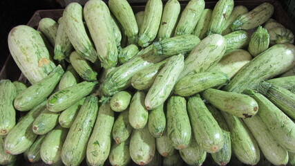 calabacin