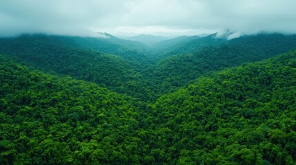 Lush green mountains stretch into the distance under a cloudy sky, creating a serene and tranquil natural landscape.