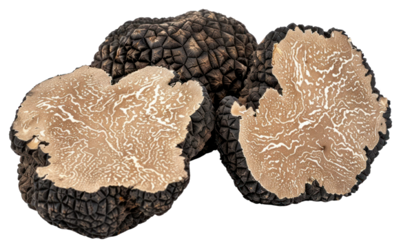 PNG Gourmet black truffles sliced delicacy