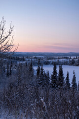 Edge of small icy lake surrounded by trees in Alaska
