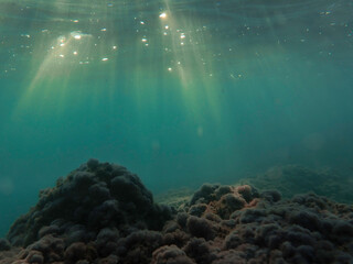 bubbles, bubble, water, underwater, sea, air, deep, undersea, under, background, wave, liquid,...