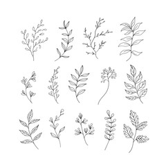 A collection of hand-drawn botanical elements with intricate floral details. Suitable for digital art, fabric prints, greeting cards, and branding.