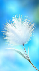 Obraz premium A delicate white feather with fine strands floats against a dreamy blue sky, symbolizing purity, lightness, and serenity.