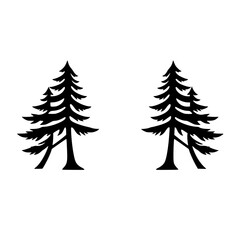 Two stylized black silhouetted evergreen pine trees on a white background.