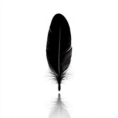 A single, elegant black feather stands upright against a pure white background, casting a delicate reflection that emphasizes its symmetry and softness.