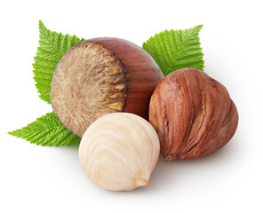 Isolated pile of hazelnuts.  Bunch of hazelnut with leaves isolated on white background with clipping path