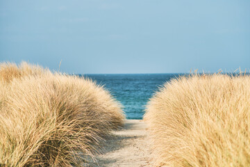 Path to the baltic sea at Rerik. High quality photo
