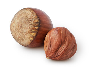 Isolated hazelnuts. Shell and peeled hazelnut nut isolated on white background with clipping path