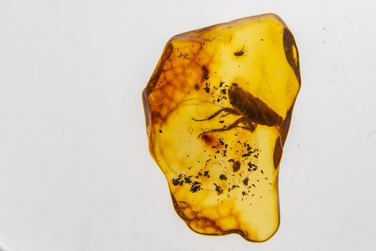 amber
