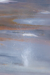 The porcelain basin at Norris Geyser Basin, Yellowstone National Park