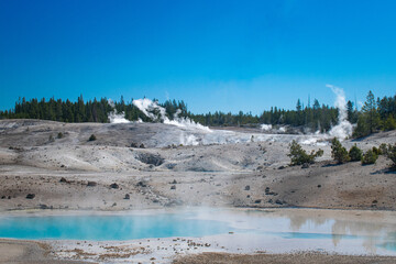 The Norris Geyser Basin, Yellowstone National Park