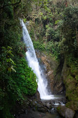 beautiful photo of waterfall in the forest