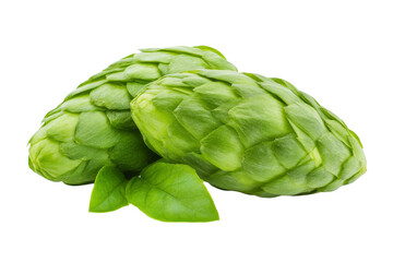 Fototapeta premium Two green cabbages with leaves on top of a white background