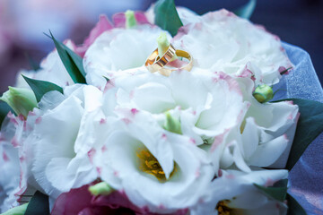 Fototapeta premium rings on a wedding bouquet