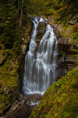 Obraz premium waterfall in the forest