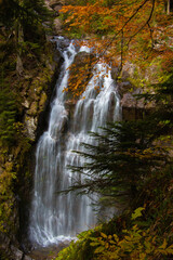 waterfall in the forest