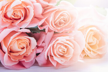 Happy mothers day, romantic still life, Woman's day, greeting card. Happy birthday. delicate pink roses in soft, dreamy light. evokes beauty, love, elegance. pastel tones and blurred background