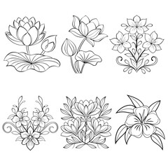 Flower set coloring page for adult hand drawn illustration for coloring book