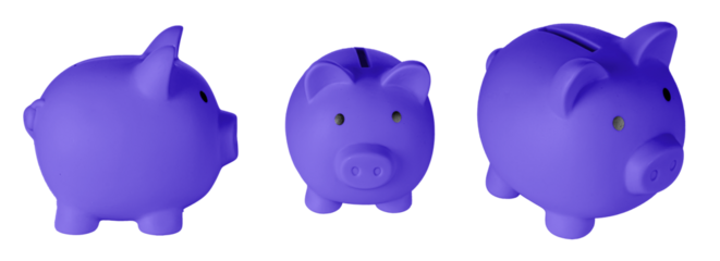 Set Piggy bank pig Purple, violet color on isolated white background close up
