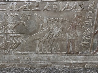 Reliefs from the tomb of Ptahhotep showing daily activities such as offerings, hunting, fishing and agricultural activities and sports in Saqqara in Egypt	