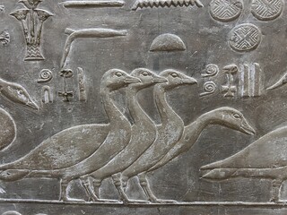 Reliefs from the tomb of Ptahhotep showing daily activities such as offerings, hunting, fishing and agricultural activities and sports in Saqqara in Egypt	