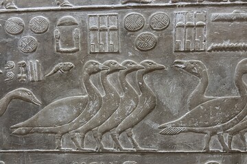 Reliefs from the tomb of Ptahhotep showing daily activities such as offerings, hunting, fishing and agricultural activities and sports in Saqqara in Egypt	