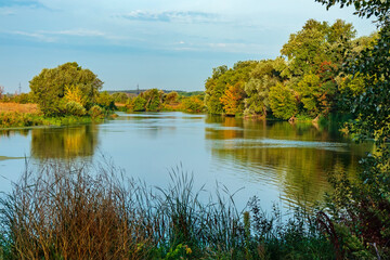 Fototapeta premium Siversky Donets (Seversky Donets) river with deciduous trees and grass on the banks in the countryside on a sunny summer day. Picturesque landscape of a non-urban area