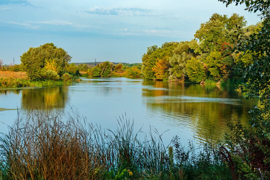Siversky Donets (Seversky Donets) river with deciduous trees and grass on the banks in the countryside on a sunny summer day. Picturesque landscape of a non-urban area