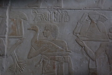 Reliefs from the tomb of Ptahhotep showing daily activities such as offerings, hunting, fishing and agricultural activities and sports in Saqqara in Egypt	