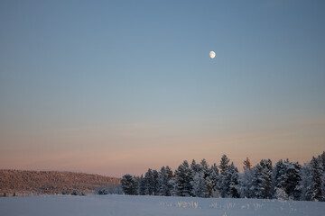 Snowy landscape winter scene in Swedish Lapland. Kiruna, Norrbotten County.
