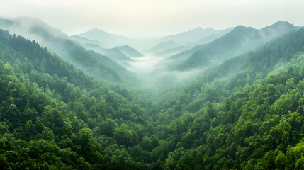 Fototapeta premium Misty mountain valley forest landscape, serene nature scene, travel background