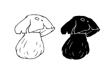 Line sketch,silhouette,stamp of porcini mushrooms.Decorative doodles of vegetables.Vector graphics.