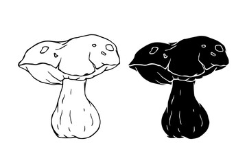 Line sketch,silhouette,stamp of porcini mushrooms.Decorative doodles of vegetables.Vector graphics.