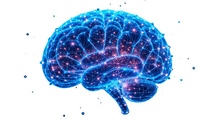 brain 3d neural network