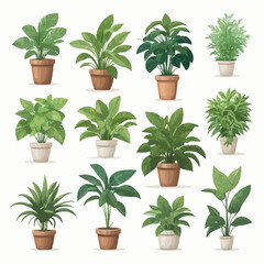 Collection of potted plants on white background. Featuring interior house plants with baskets, tropical cactus, monstera, leaves, and foliage. Perfect for home indoor decor and artistic decoration.