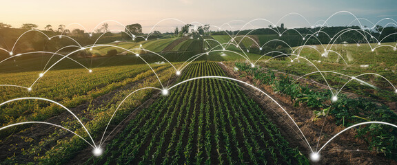 A wide-angle shot of interconnected location markers over agricultural fields at sunset, showcasing modern farming technology, GPS tracking, and connectivity in rural areas.