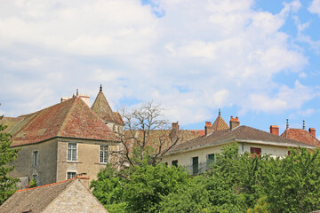Historic buildings on a street in Gy, France	