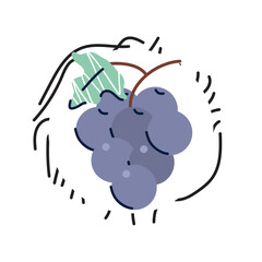 vector image of grapes icon with white background