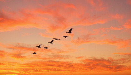 Birds flying across a vibrant orange sunset