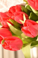 Bouquet of red spring tulips