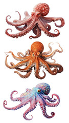 Obraz premium PNG octopus marine animal element set, transparent background