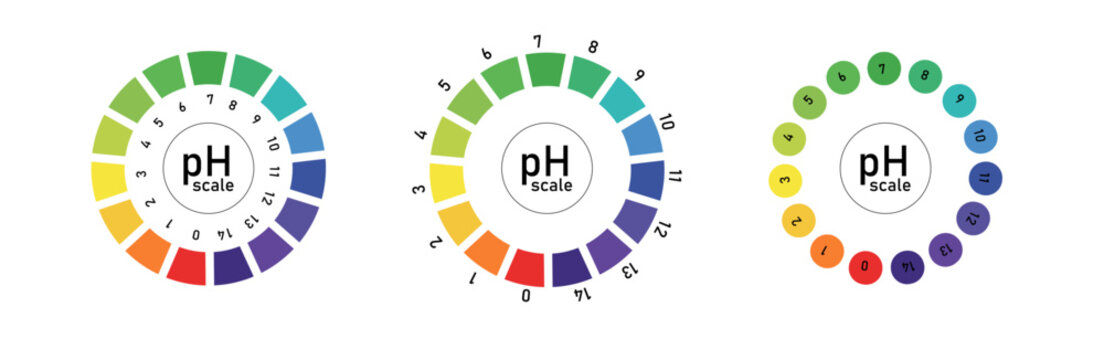 Scale indicator for litmus paper test. Ph level of acid and alkaline balance PNG