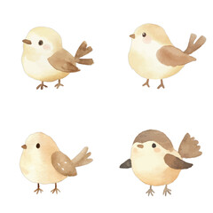 bird watercolor illustration concept for kids