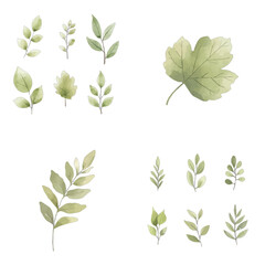 green leaves watercolor illustration concept for kids